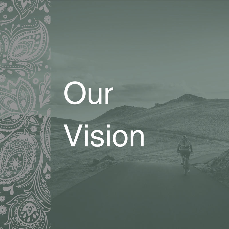 Our Vision